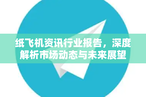 纸飞机资讯行业报告，深度解析市场动态与未来展望