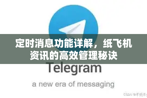 定时消息功能详解，纸飞机资讯的高效管理秘诀