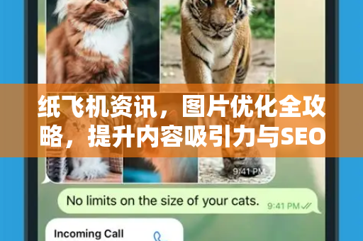 纸飞机资讯，图片优化全攻略，提升内容吸引力与SEO排名