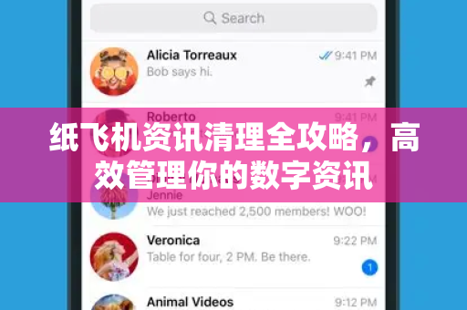纸飞机资讯清理全攻略，高效管理你的数字资讯