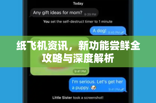 纸飞机资讯，新功能尝鲜全攻略与深度解析
