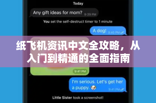 纸飞机资讯中文全攻略，从入门到精通的全面指南