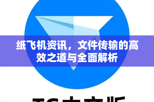 纸飞机资讯，文件传输的高效之道与全面解析