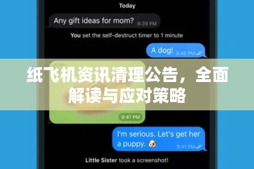 纸飞机资讯清理公告，全面解读与应对策略