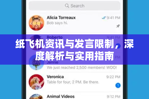 纸飞机资讯与发言限制，深度解析与实用指南