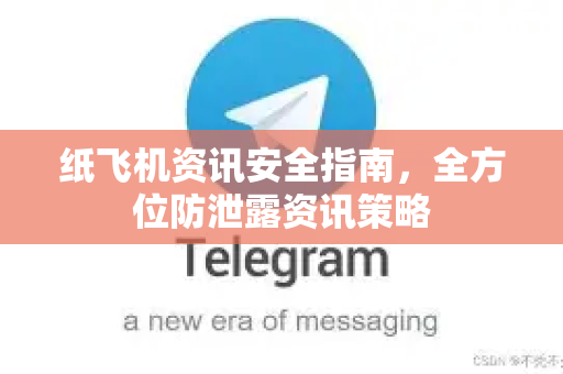 纸飞机资讯安全指南，全方位防泄露资讯策略