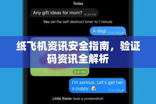 纸飞机资讯安全指南，验证码资讯全解析