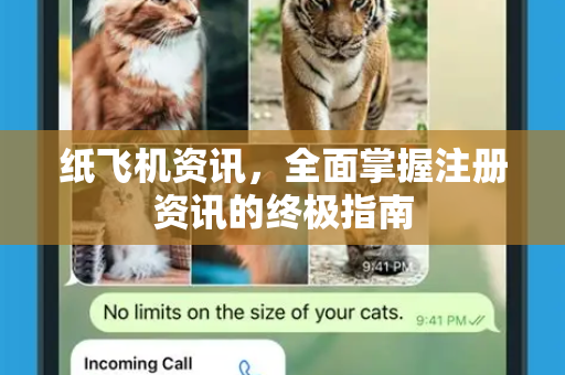 纸飞机资讯，全面掌握注册资讯的终极指南
