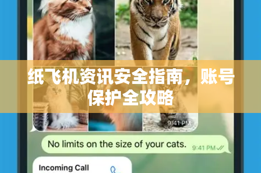 纸飞机资讯安全指南，账号保护全攻略