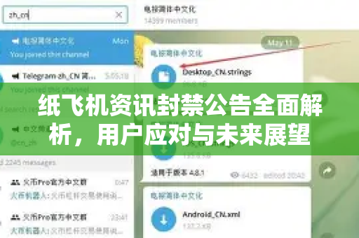 纸飞机资讯封禁公告全面解析，用户应对与未来展望