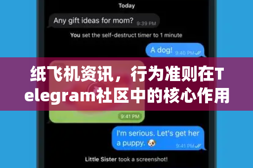 纸飞机资讯，行为准则在Telegram社区中的核心作用与指南
