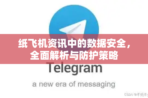 纸飞机资讯中的数据安全，全面解析与防护策略