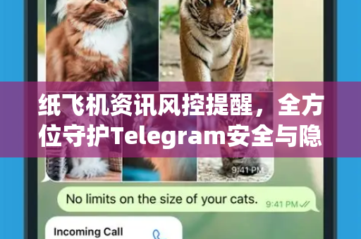 纸飞机资讯风控提醒，全方位守护Telegram安全与隐私指南