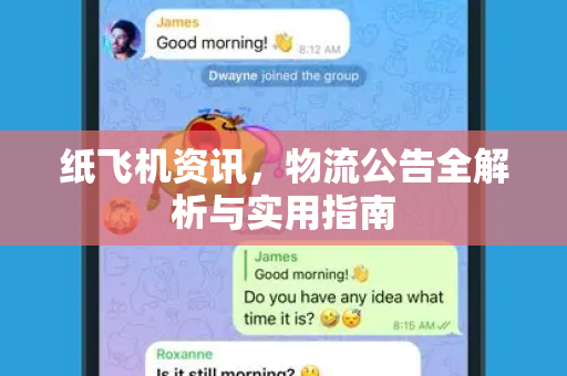 纸飞机资讯，物流公告全解析与实用指南