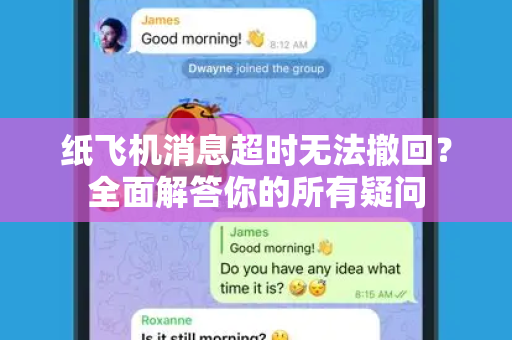 纸飞机消息超时无法撤回？全面解答你的所有疑问