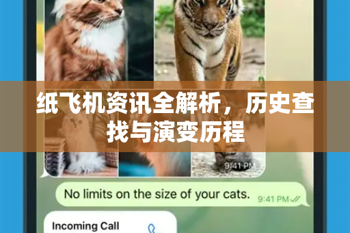 纸飞机资讯全解析，历史查找与演变历程