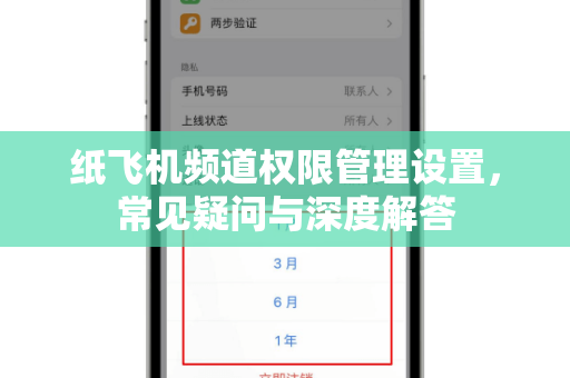 纸飞机频道权限管理设置，常见疑问与深度解答