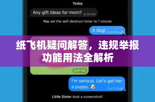 纸飞机疑问解答，违规举报功能用法全解析