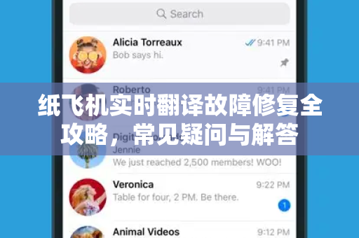 纸飞机实时翻译故障修复全攻略，常见疑问与解答