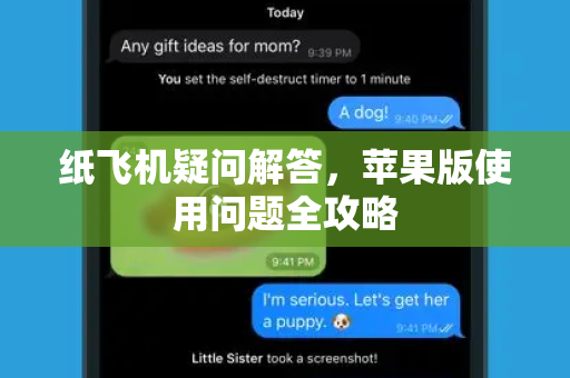 纸飞机疑问解答，苹果版使用问题全攻略