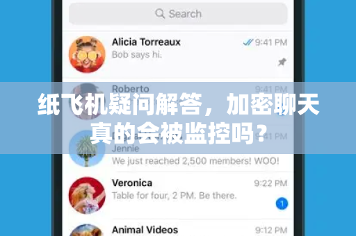 纸飞机疑问解答，加密聊天真的会被监控吗？-第1张图片-纸飞机官网 - 纸飞机下载|中文最新版|全球私密聊天软件