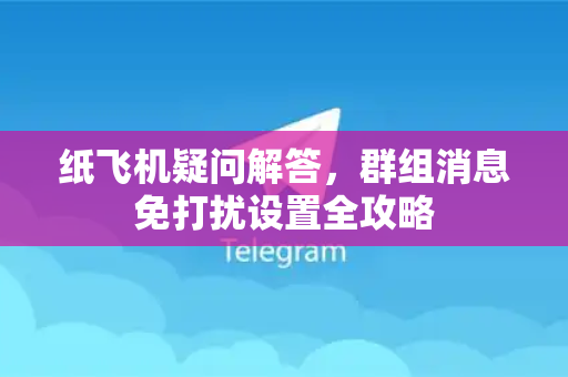 纸飞机疑问解答，群组消息免打扰设置全攻略