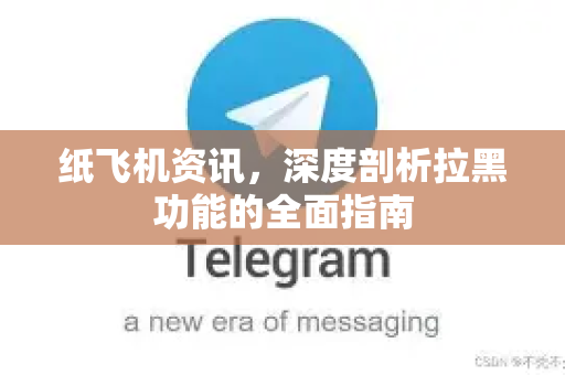 纸飞机资讯，深度剖析拉黑功能的全面指南