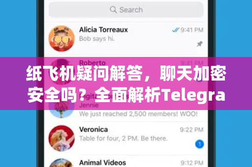 纸飞机疑问解答，聊天加密安全吗？全面解析Telegram加密机制与隐私保护