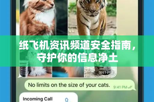 纸飞机资讯频道安全指南，守护你的信息净土