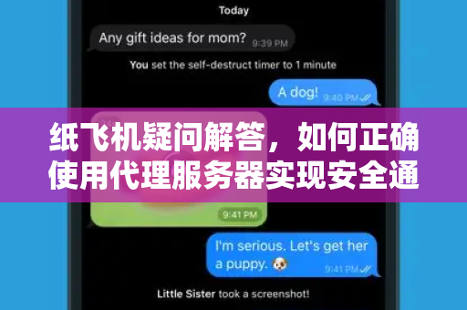 纸飞机疑问解答，如何正确使用代理服务器实现安全通讯