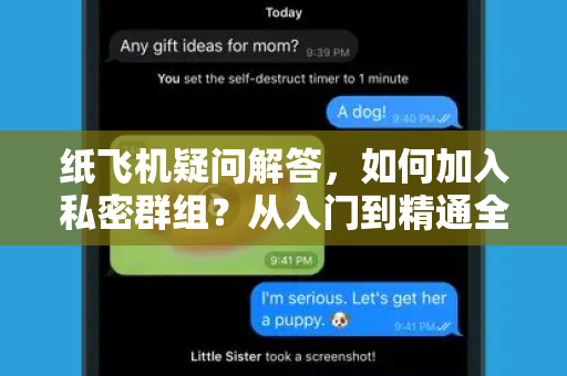 纸飞机疑问解答，如何加入私密群组？从入门到精通全指南