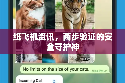 纸飞机资讯，两步验证的安全守护神