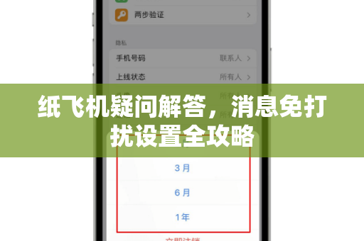 纸飞机疑问解答，消息免打扰设置全攻略