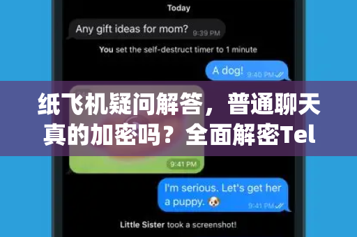 纸飞机疑问解答，普通聊天真的加密吗？全面解密Telegram隐私安全