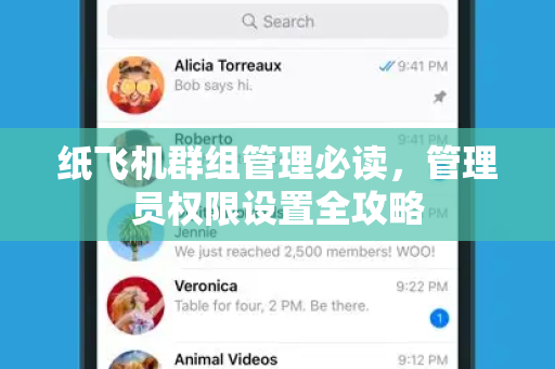 纸飞机群组管理必读，管理员权限设置全攻略