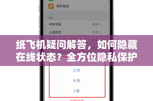 纸飞机疑问解答，如何隐藏在线状态？全方位隐私保护指南