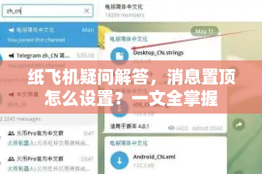 纸飞机疑问解答，消息置顶怎么设置？一文全掌握