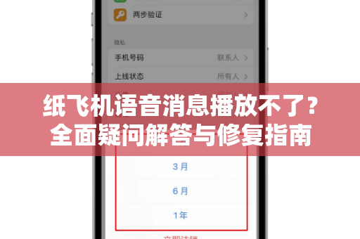 纸飞机语音消息播放不了？全面疑问解答与修复指南