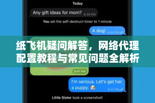 纸飞机疑问解答，网络代理配置教程与常见问题全解析-第1张图片-纸飞机官网 - 纸飞机下载|中文最新版|全球私密聊天软件