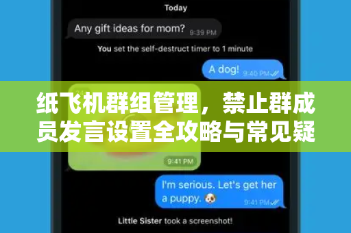 纸飞机群组管理，禁止群成员发言设置全攻略与常见疑问解答