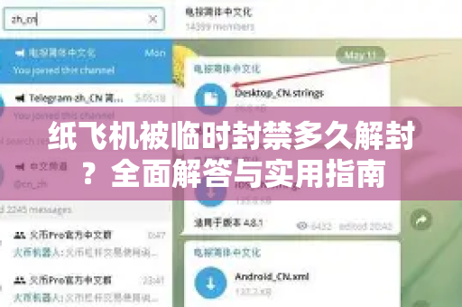 纸飞机被临时封禁多久解封？全面解答与实用指南