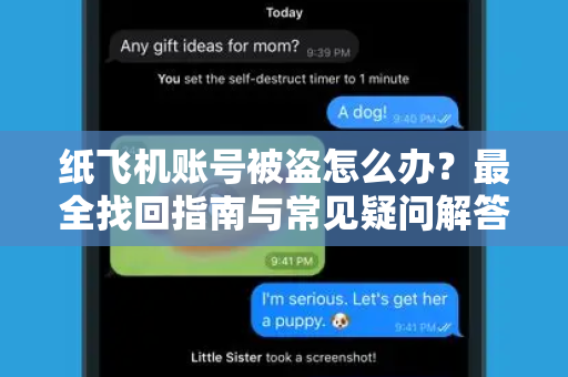 纸飞机账号被盗怎么办？最全找回指南与常见疑问解答