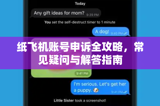纸飞机账号申诉全攻略，常见疑问与解答指南