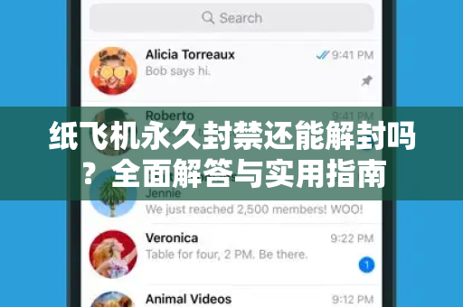 纸飞机永久封禁还能解封吗？全面解答与实用指南