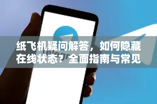 纸飞机疑问解答，如何隐藏在线状态？全面指南与常见问题