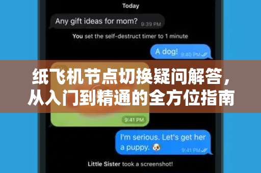 纸飞机节点切换疑问解答，从入门到精通的全方位指南