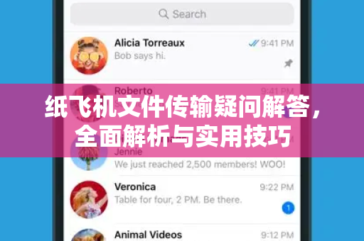 纸飞机文件传输疑问解答，全面解析与实用技巧