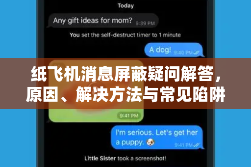 纸飞机消息屏蔽疑问解答，原因、解决方法与常见陷阱全揭秘