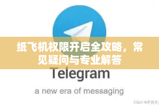 纸飞机权限开启全攻略，常见疑问与专业解答
