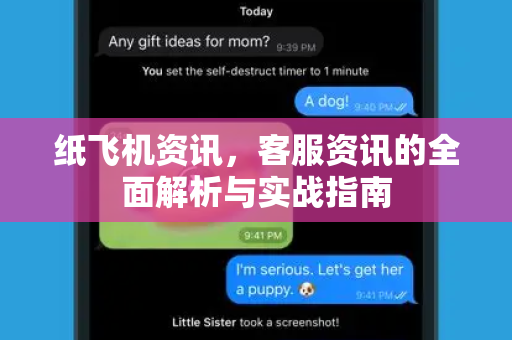 纸飞机资讯，客服资讯的全面解析与实战指南-第1张图片-Telegram Desktop - 纸飞机官方下载 - TG官方